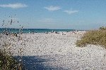 Click to see DSC_0751.JPG