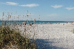 Click to see DSC_0752.JPG