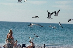 Click to see DSC_0755.JPG