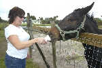 Click to see _DSC4910.JPG