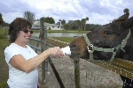 Click to see _DSC4911.JPG