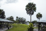 Click to see _DSC4915.JPG