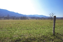 Click to see _DSC5601.JPG