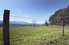 Click to see _DSC5602.JPG