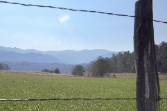 Click to see _DSC5604.JPG