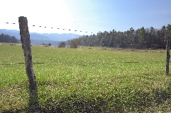 Click to see _DSC5605.JPG