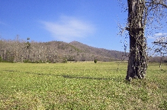 Click to see _DSC5606.JPG