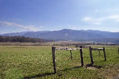 Click to see _DSC5607.JPG