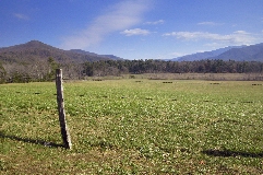 Click to see _DSC5608.JPG