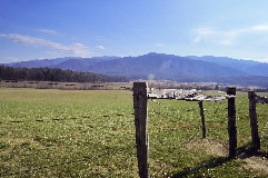 Click to see _DSC5609.JPG