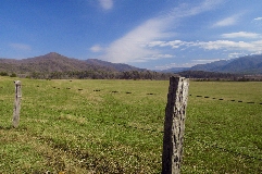 Click to see _DSC5610.JPG