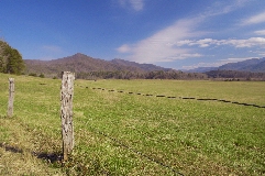 Click to see _DSC5611.JPG