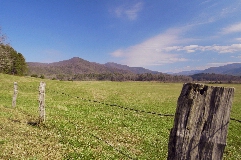 Click to see _DSC5612.JPG