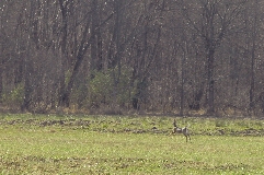 Click to see _DSC5615.JPG