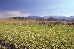 Click to see _DSC5617.JPG