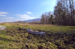 Click to see _DSC5619.JPG