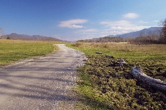 Click to see _DSC5620.JPG