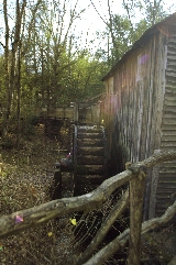 Click to see _DSC5624.JPG