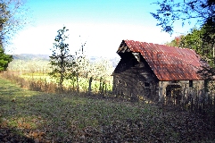 Click to see _DSC5631.JPG