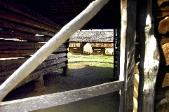 Click to see _DSC5635.JPG