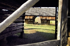 Click to see _DSC5636.JPG