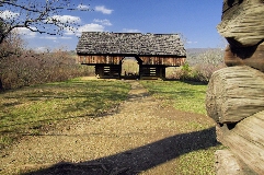 Click to see _DSC5638.JPG