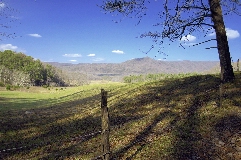 Click to see _DSC5642.JPG