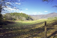 Click to see _DSC5643.JPG