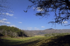 Click to see _DSC5645.JPG