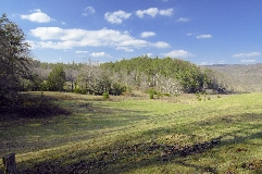 Click to see _DSC5646.JPG