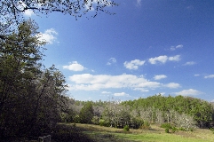 Click to see _DSC5647.JPG