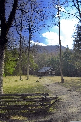 Click to see _DSC5648.JPG