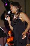 Click to see _DSC3913.JPG