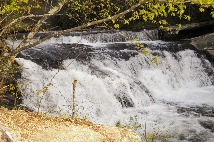 Click to see _CHL0180.JPG
