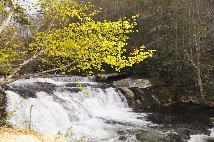 Click to see _CHL0181.JPG