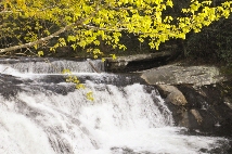 Click to see _CHL0182.JPG