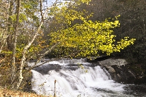Click to see _CHL0184.JPG