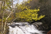 Click to see _CHL0185.JPG