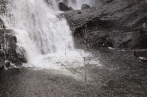Click to see _CHL0201.JPG