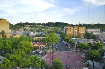 Click to see _GIG0407.JPG