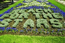 Click to see _GIG0861.JPG