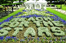 Click to see _GIG0862.JPG