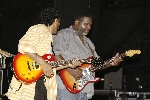 Click to see DSC_8615.JPG