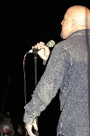 Click to see DSC_8684.JPG