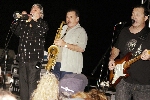 Click to see DSC_8716.JPG
