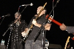 Click to see DSC_8729.JPG