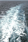 Click to see DSC_8922.JPG