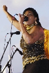 Click to see DSC_9078.JPG