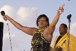 Click to see DSC_9081.JPG