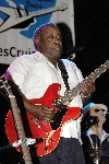 Click to see DSC_9117.JPG